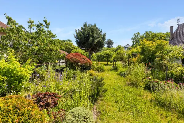 Garten hinterer Bereich